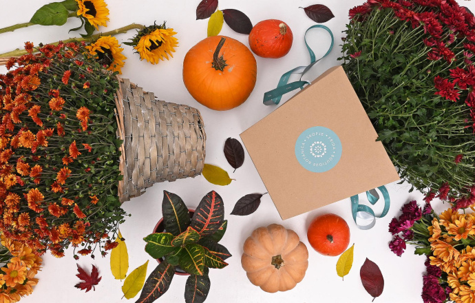 Зимска Селекција Frida