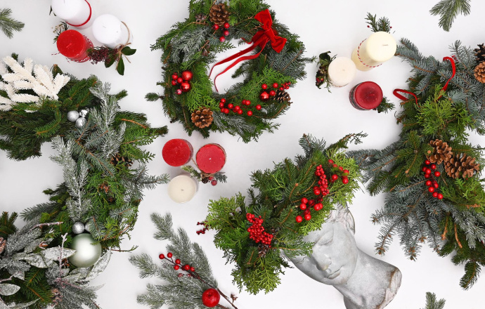 Зимска Селекција Frida