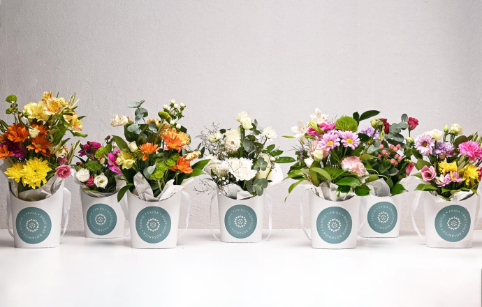 Цвеќе во Кутија