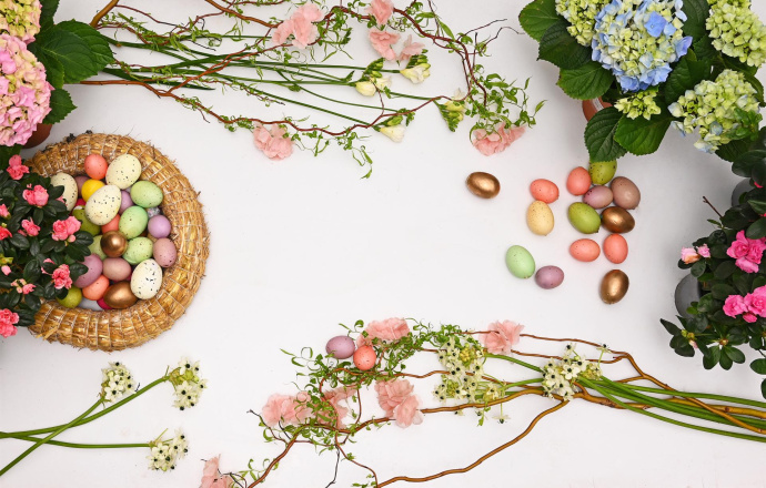 Пролет во FRIDA