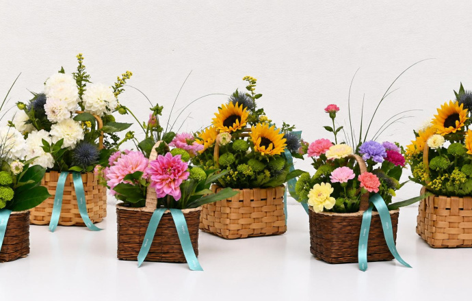 Flower Boxes