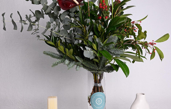 Silent Night Flowers