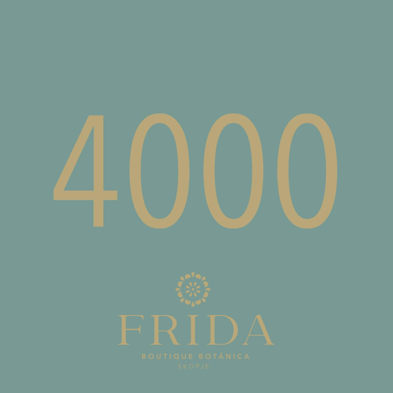 FRIDA Gift картичка