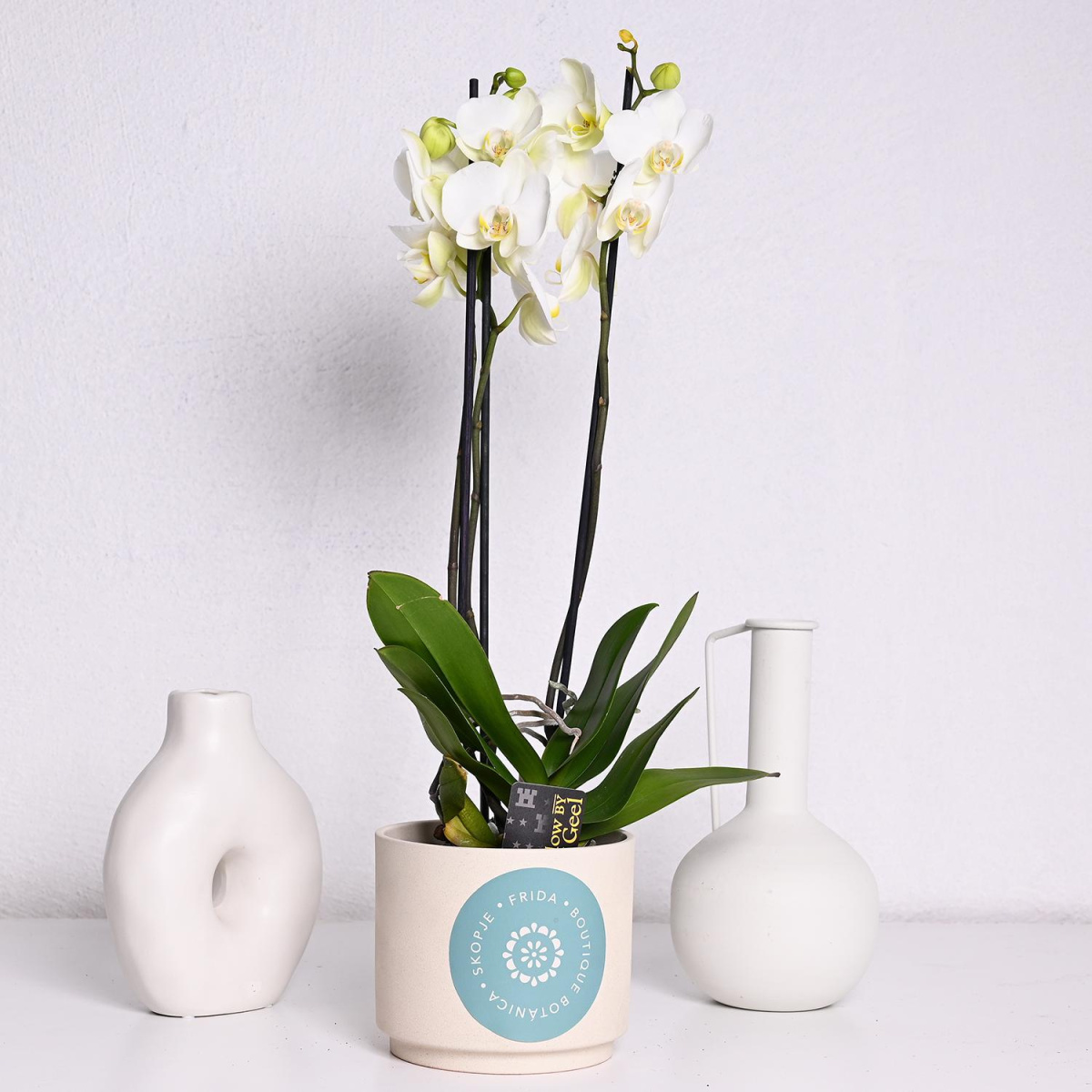 Фаленопсис со 3 гранки