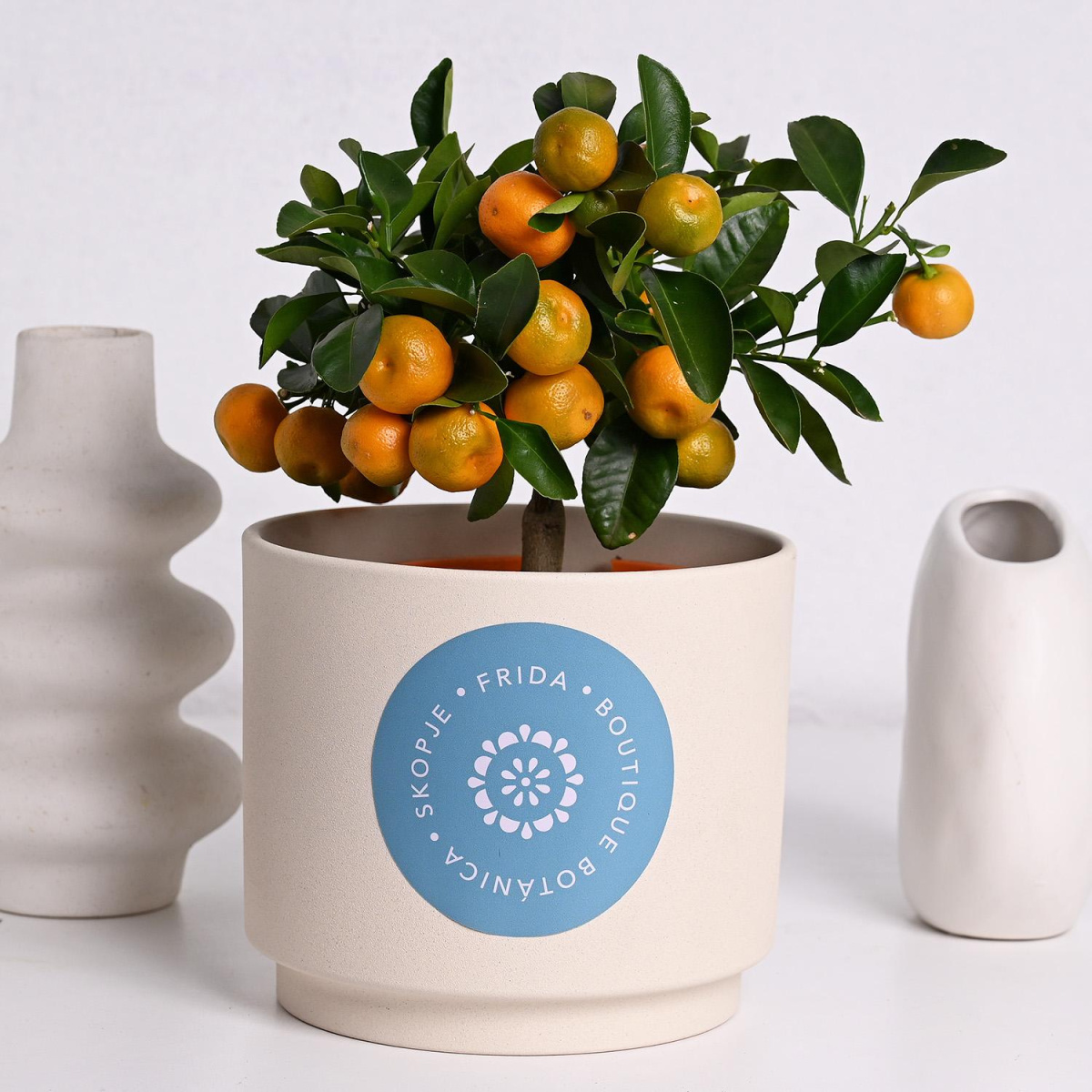 Каламандин