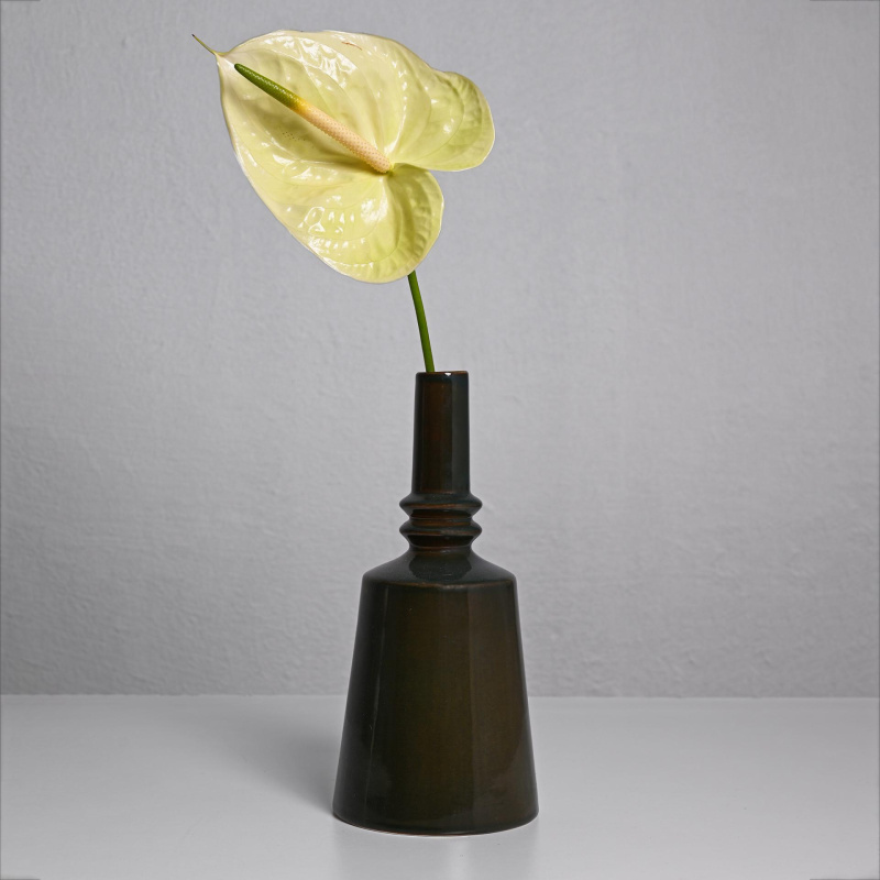 Маслинеста декоративна вазна COIN S15 7372558