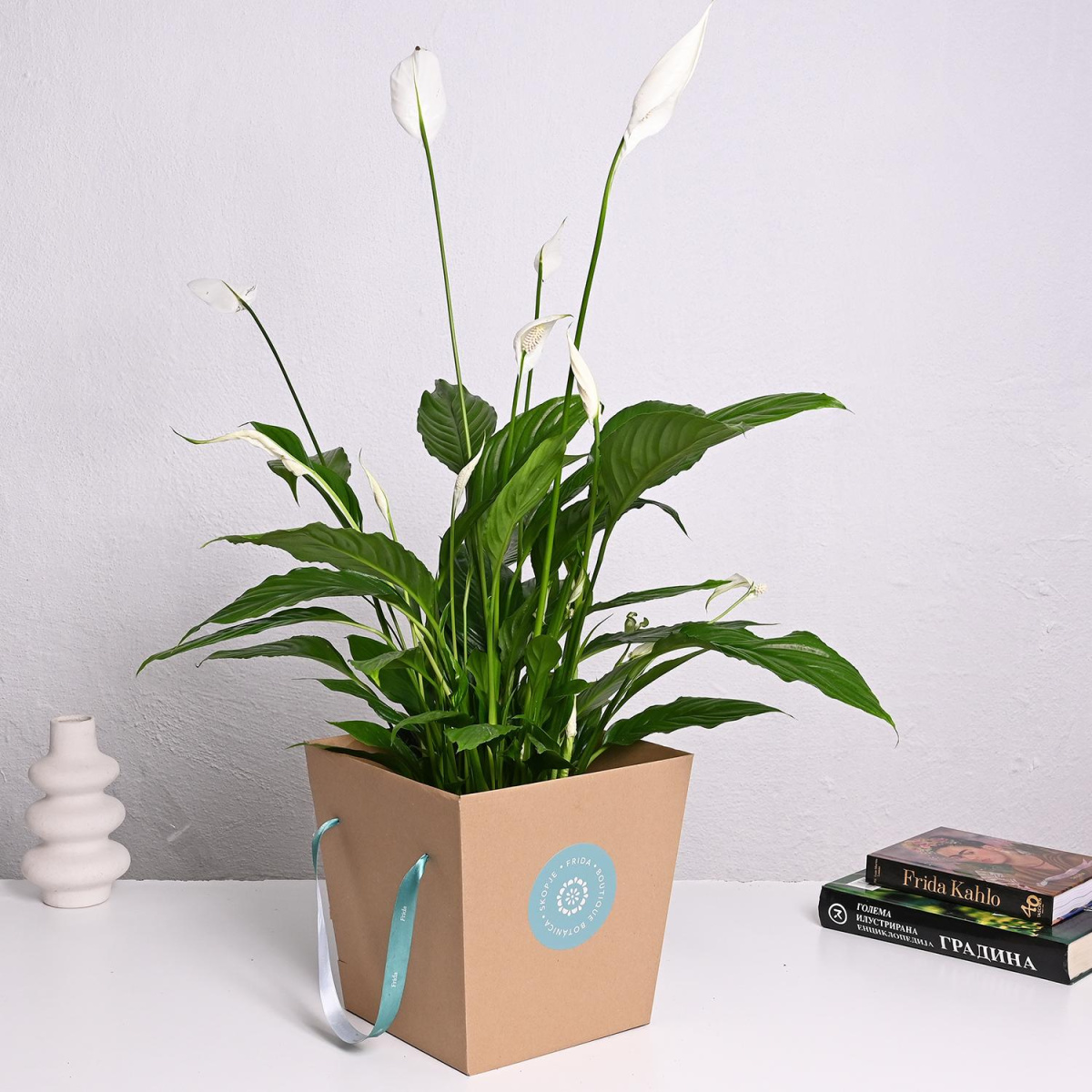 Спатифилиум Гранде