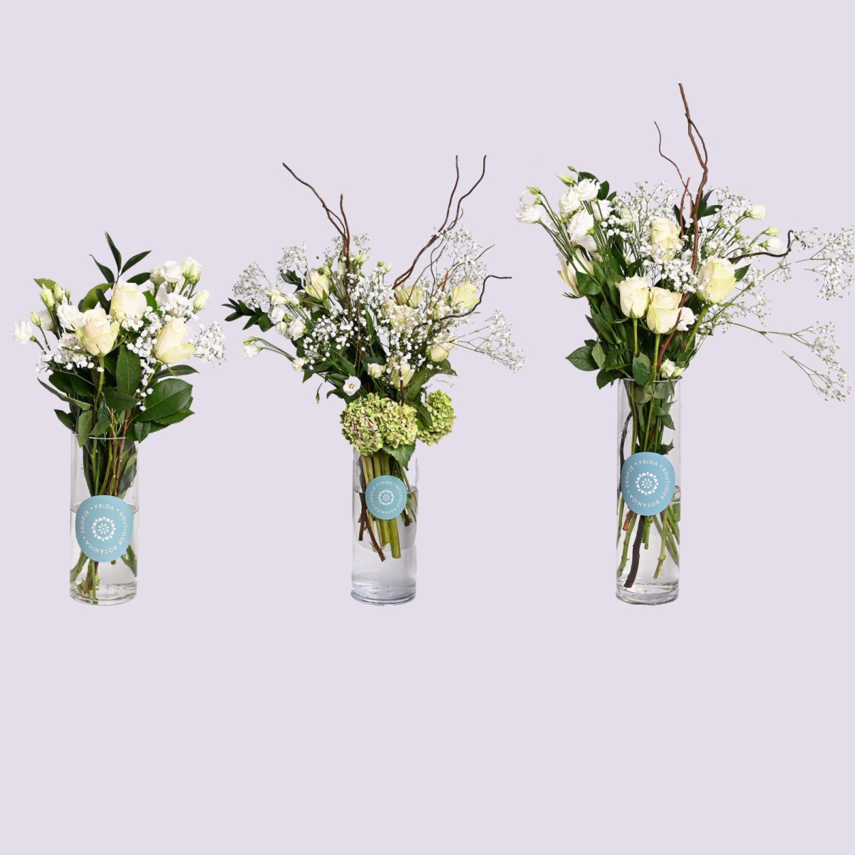 Бела Хармонија (L)