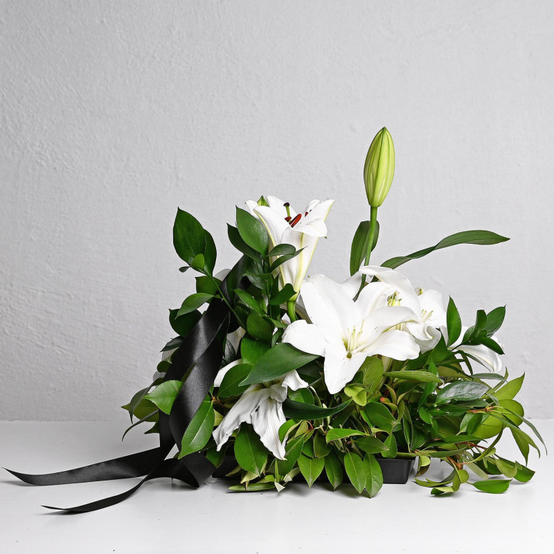 Вечна Светлина