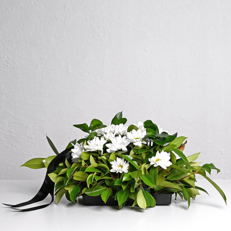 Последен Поздрав