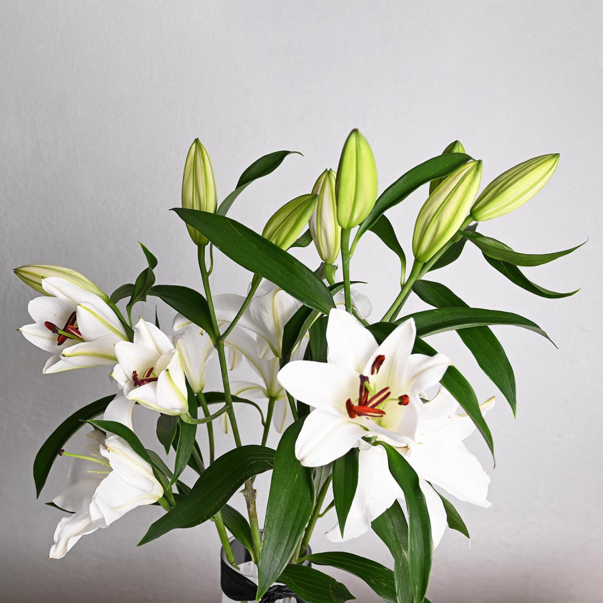 Тивок Спомен