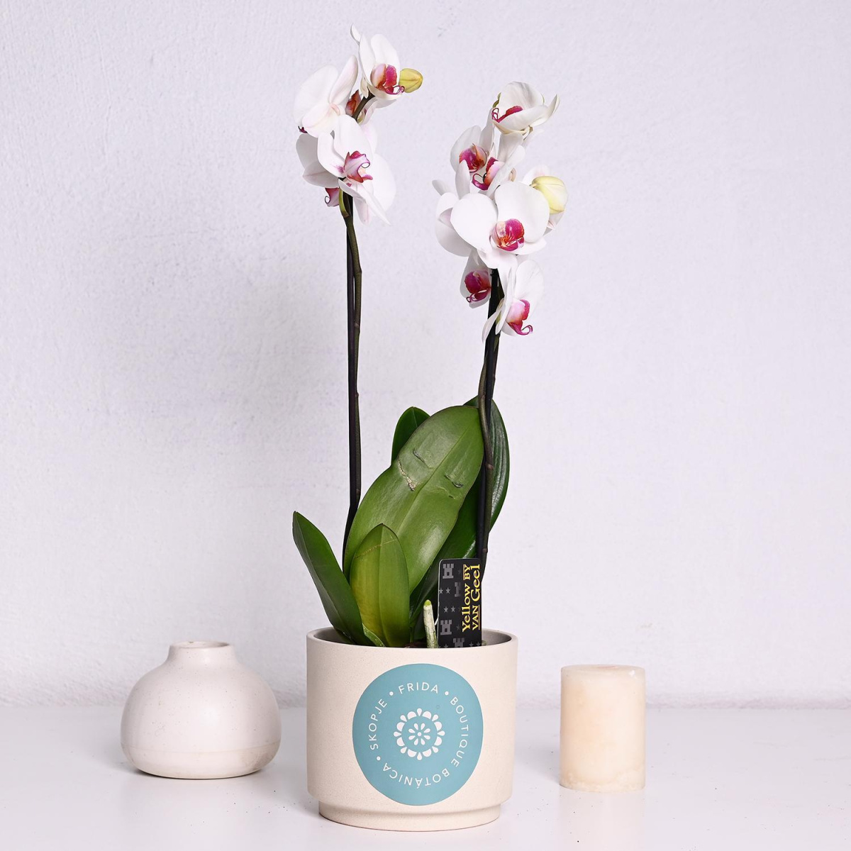 Фаленопсис со 2 гранки