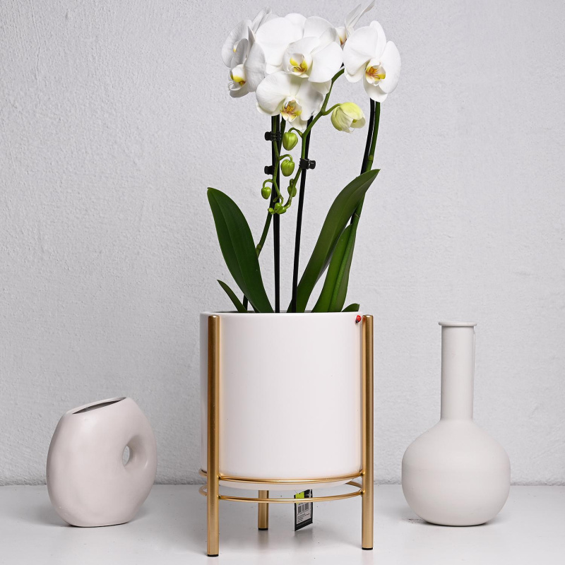 Сверна саксија на сталак бела 28х19цм