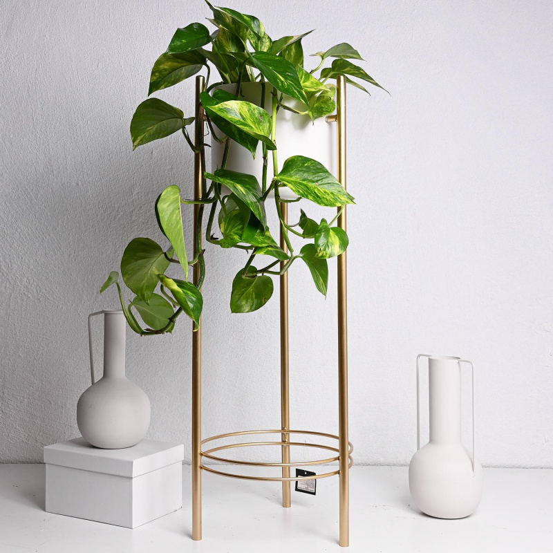 Сверна Саксија на сталак 81х28цм